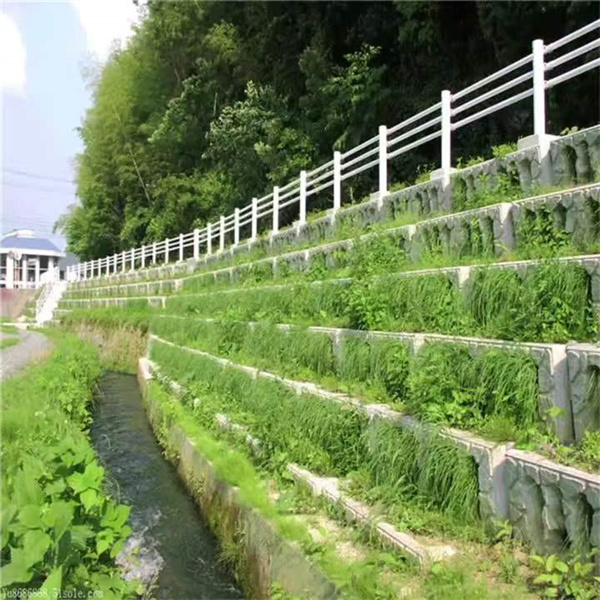 生態(tài)框 (6)